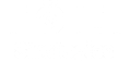 Tölt Strategies